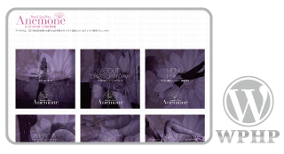 _WordPress,ホームページ,カスタマイズ,デザイン,レスポンシブ,レスポンシブHP,女性向け,サロン集客,iphone,ipad,スマホ,タブレットPC,安い,料金,toru chang